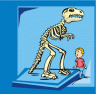 dinosaur_skeleton.gif